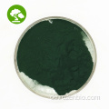 Top -Qualität natürlicher Nannochloropsis -Pulver
